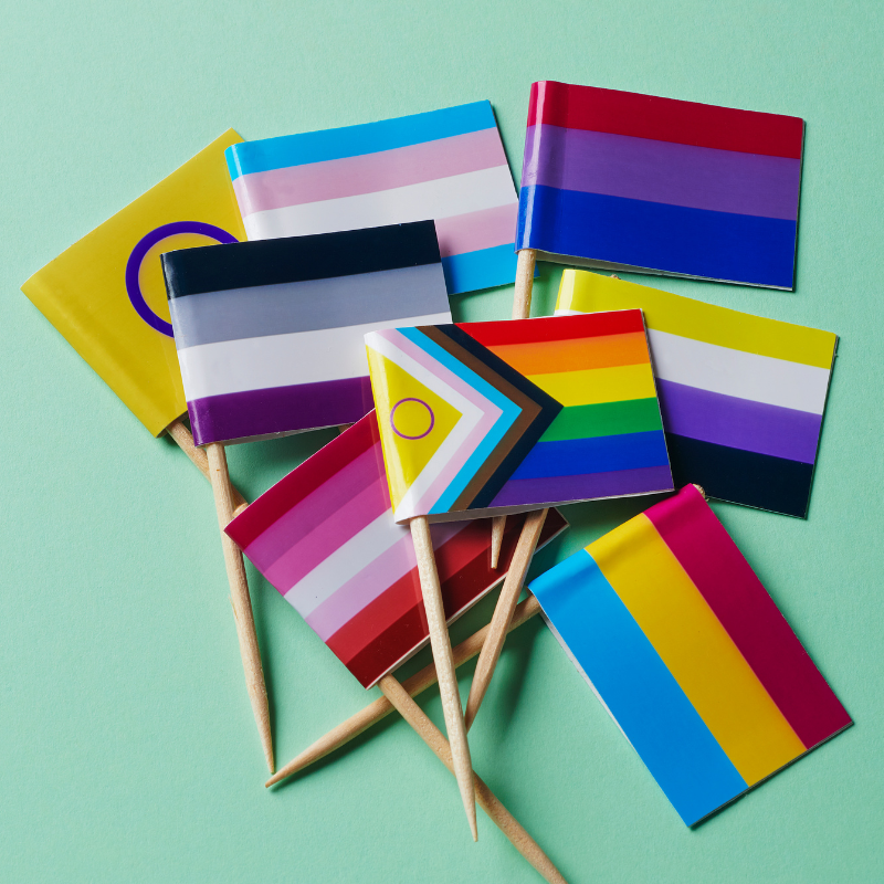 lgbtq+ champion workplace