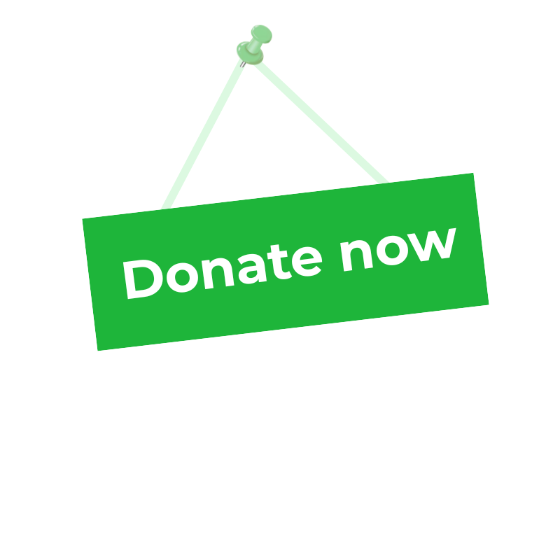 website 800x800 (39)